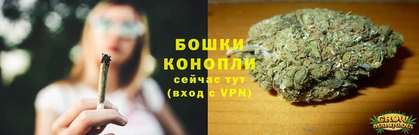 молекула духа Белокуриха