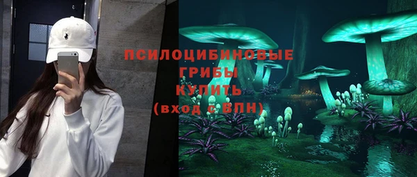 стаф Беломорск