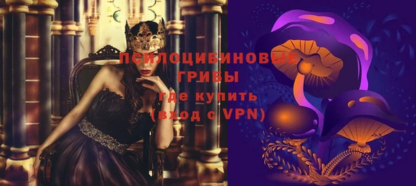 стаф Беломорск